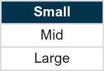 Market Capitalization: Small